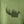 Chandail Shanta vert YB-04 de 21 Tara