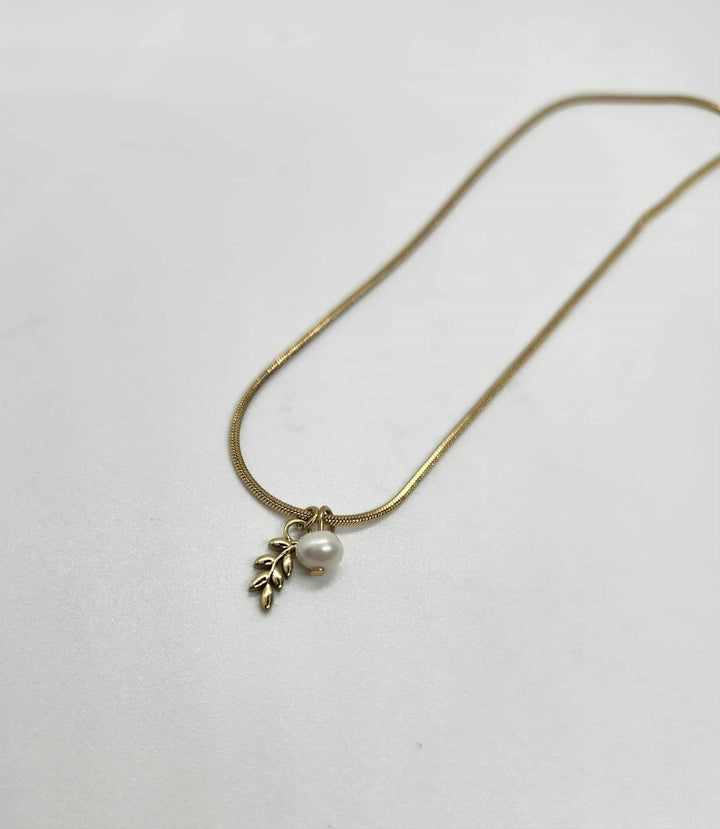 Collier #716 de Gribouille