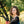 Chandail Manzana noir de Marie C