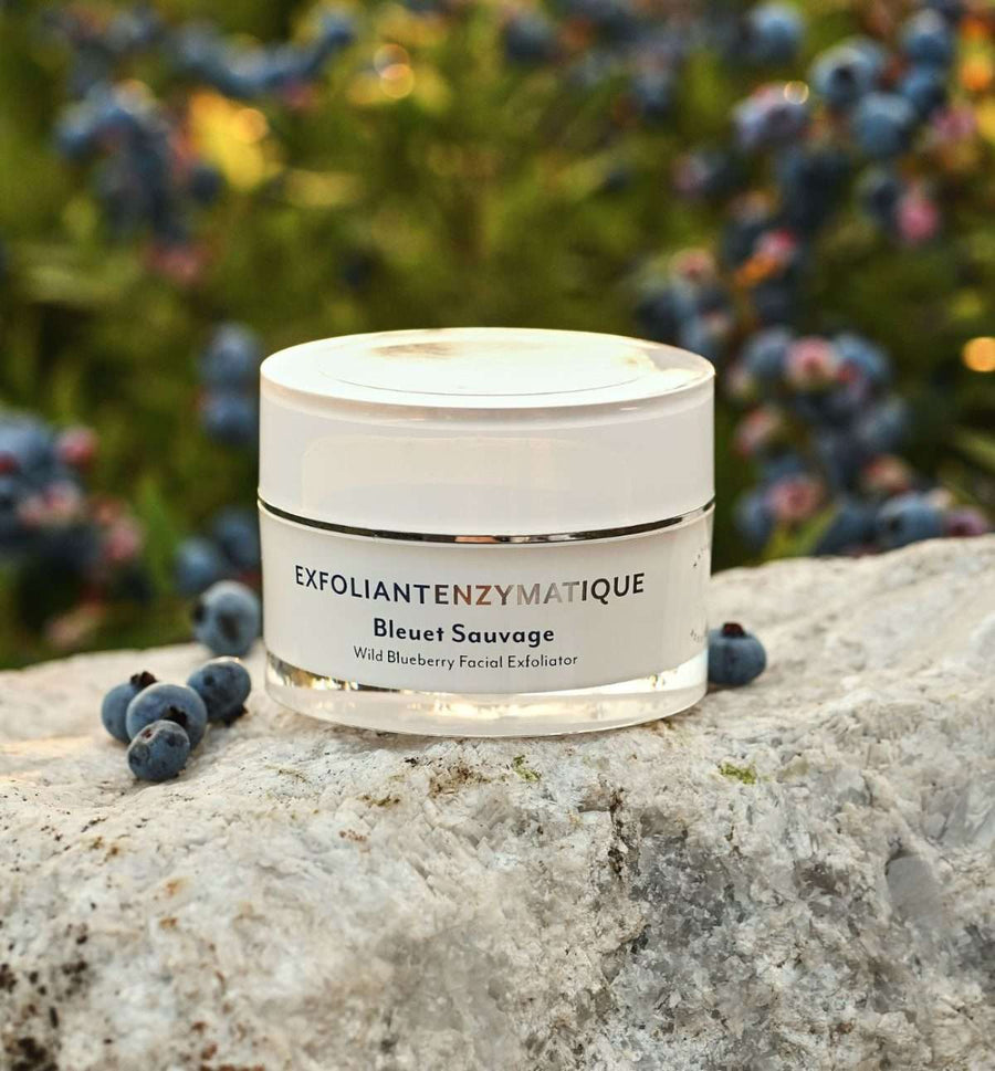 Exfoliant enzymatique bleuets sauvages Ta peau ton fruit