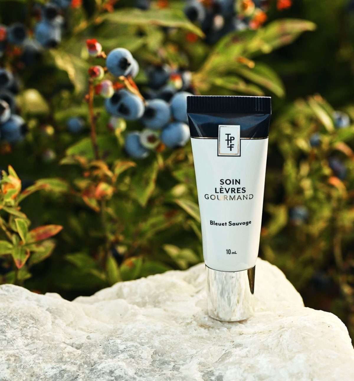 Soin lèvres gourmand bleuets sauvages Ta peau ton fruit